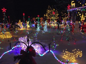 Maisie's Magical Christmas House Lights Edmonton